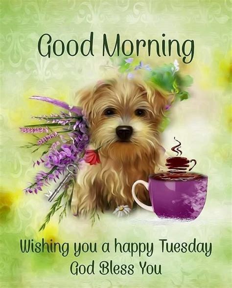 happy tuesday morning|good morning wishes for tuesday.